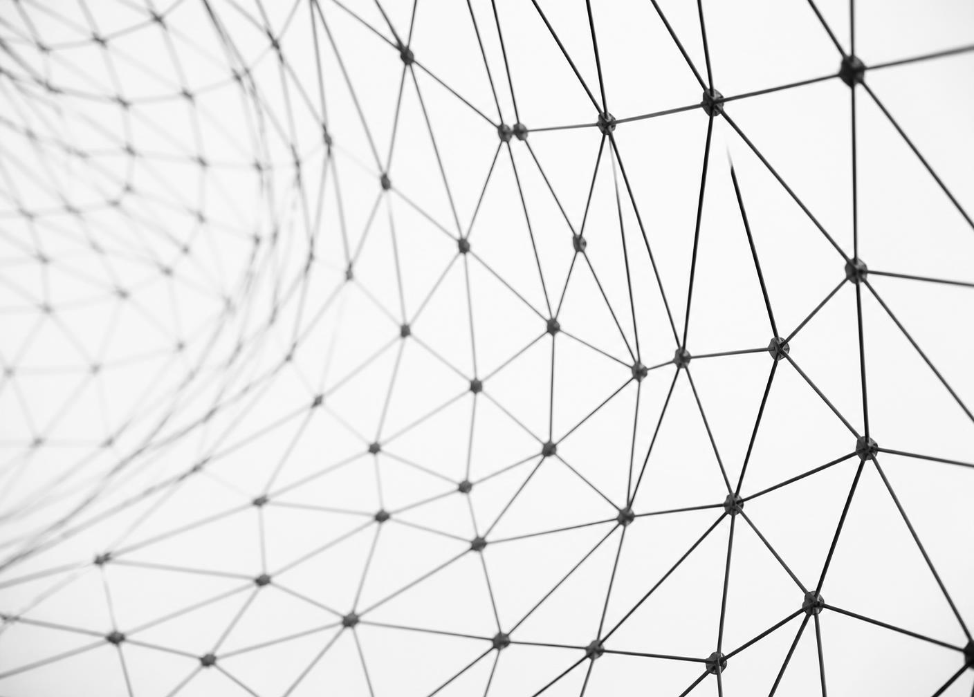 Abstract lattice structure representing a connected partner network